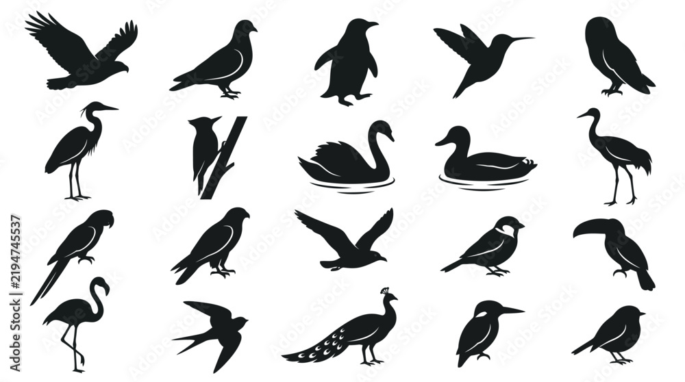 Obraz premium A collection of diverse bird silhouettes featuring waterfowl and perching species