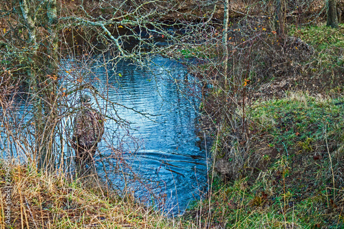 Camouflaged trapper in water