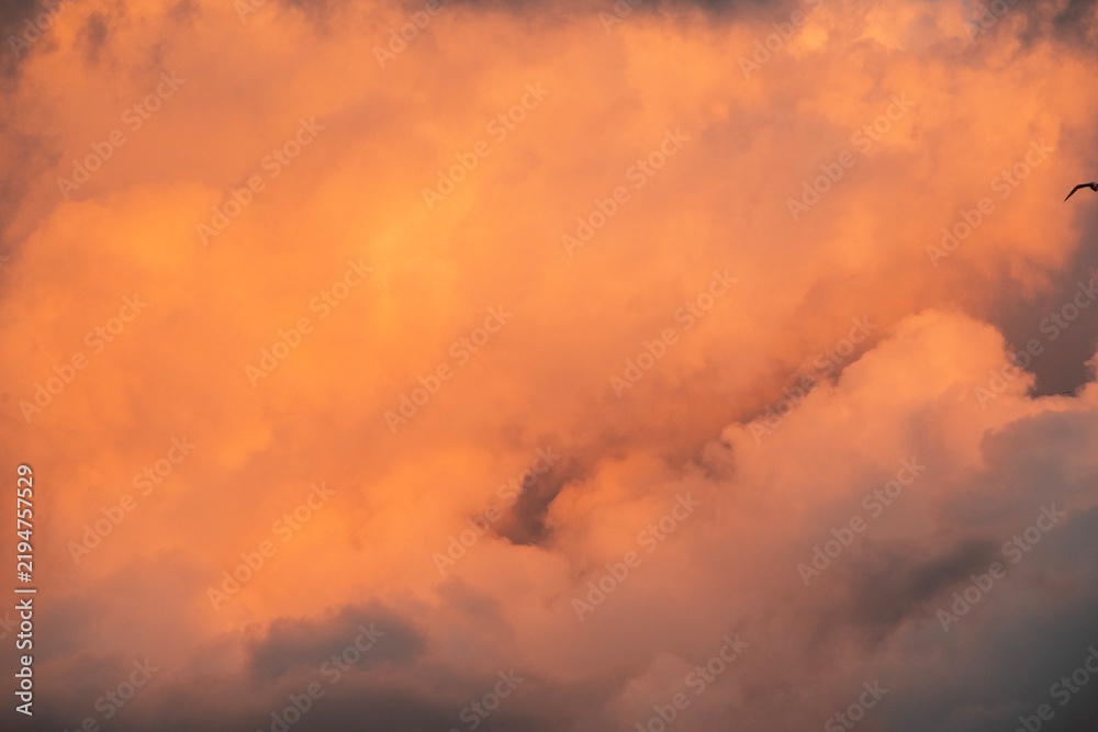 Fototapeta premium Close-up of a fluffy sunset orange clouds on the blue sky.
