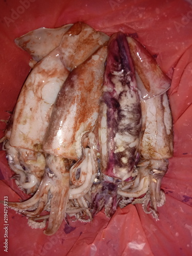 Картината върху платно fresh fish on the market