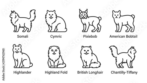 Obraz na płótnie Cat Breed Icons: A collection of simple line art illustrations showcasing eight distinct cat breeds, each labeled with its name, offering a visual guide to feline diversity