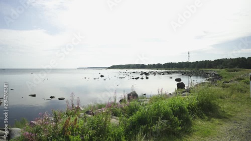 Rocks and rare plants growing on them. The gently sloping rocky shore is a popular spot for recreation and hiking. The Baltic Sea coast in Estonia in August