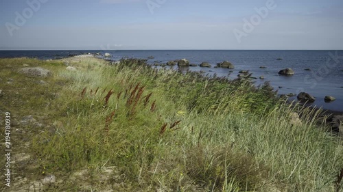 Rocks and rare plants growing on them. The gently sloping rocky shore is a popular spot for recreation and hiking. The Baltic Sea coast in Estonia in August