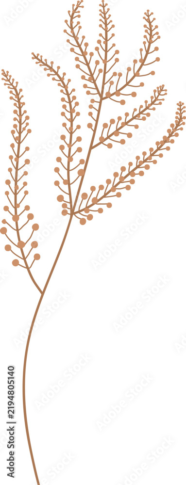 Fototapeta premium Fern Branch Botanical