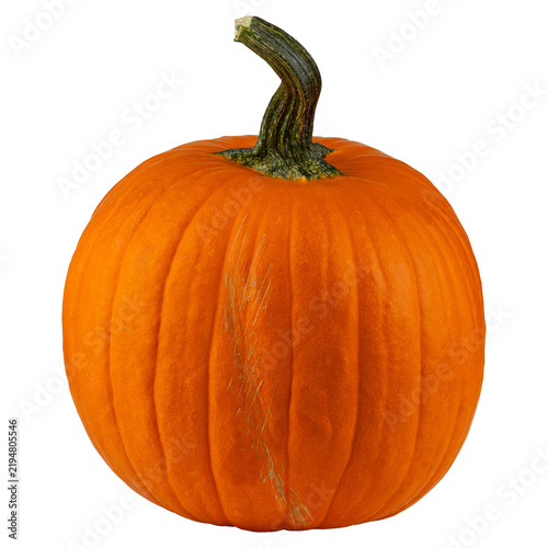 Pumpkin. Large pumpkin good for carving a Jack o Lantern on Halloween. Farm autumn October harvest. Pumpkin for Oktoberfest. Happy Thanksgiving Day and Fall seasonal decoration. Isolated background