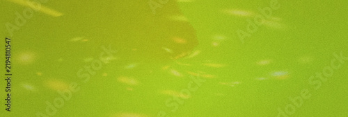 Bild auf Leinwand Abstract bright green glitter texture background with sparkling particles and so