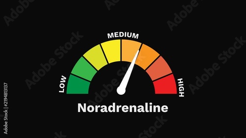 Noradrenaline Level Gauge Increasing and Decreasing, Alertness and Stress Response Animation