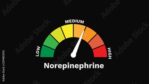 Norepinephrine Level Gauge Increasing and Decreasing, Alertness and Stress Response 2D Motion Graphic