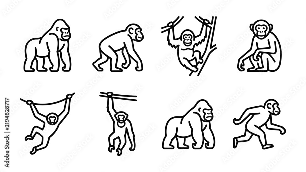 Fototapeta premium Monkeys and Gorilla Set: A collection of outline illustrations depicting various monkeys and a gorilla in different poses, showing their dynamic movements and arboreal lifestyle.