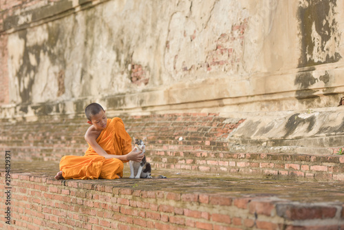 Portrait of a Novice monk wearing an orange monastic robe (kasaya) sitting outside a temple playing with a cat, Thailand