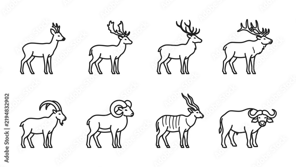 Fototapeta premium Set of Wildlife Icons: A collection of stylized line art icons depicts various wild animals, including different species of deer, a goat, a ram, an antelope, and a buffalo, each rendered with simple.