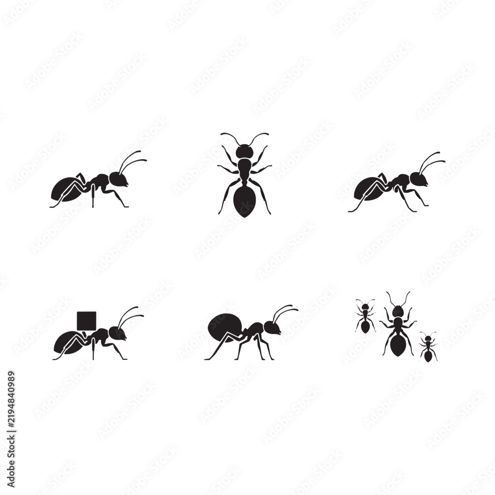 Fototapeta premium Black silhouette depictions of various ant poses and sizes on a white background