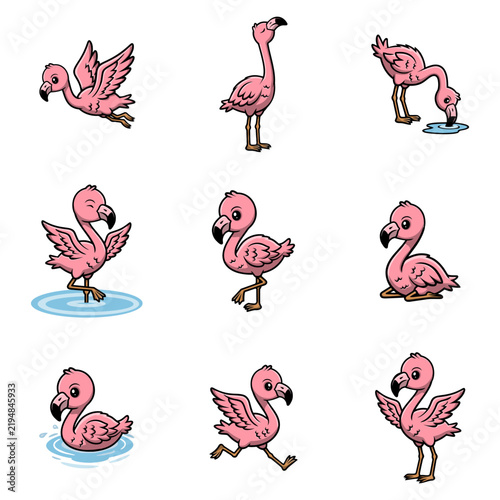 set illustration of flamingo
