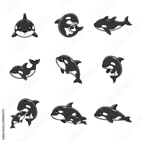 set illustration of orca