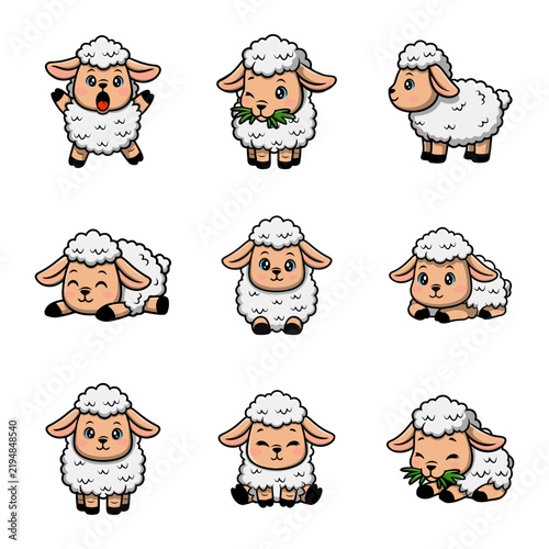 set illustration of sheep