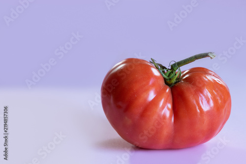 Naturally misshapen ripe red tomato with asymmetrical form and pronounced lobes, on soft lavender background. Natural variation and imperfection in agricultural produce, with copy space for design