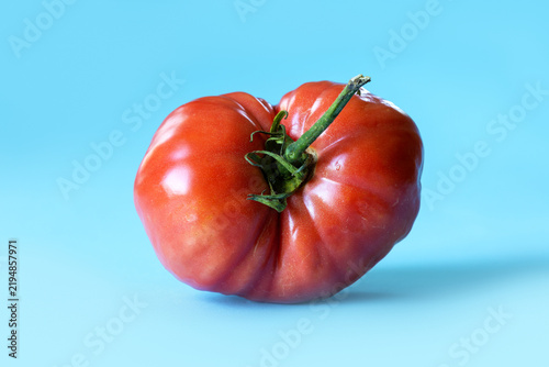 Naturally misshapen ripe red tomato with pronounced lobes, deep grooves, and irregular asymmetrical form, on bright blue background. Natural imperfections and variation in fresh agricultural produce
