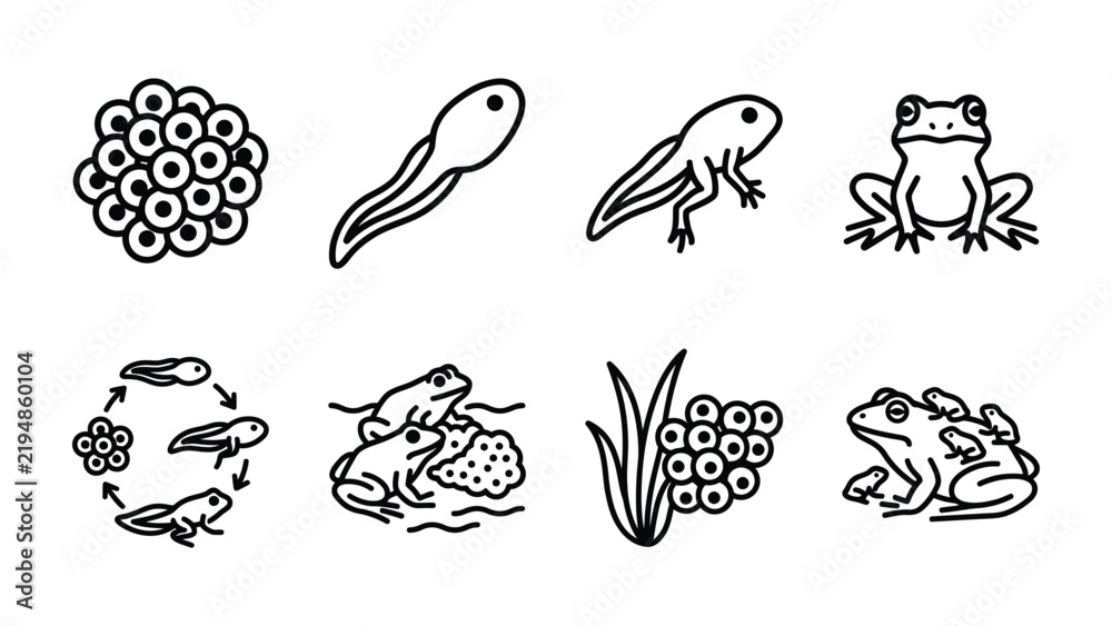 Obraz premium Frog Life Cycle Icons: A collection of illustrated icons depicting the complete metamorphosis of a frog, from egg clutch to tadpole stages, culminating in an adult amphibian.