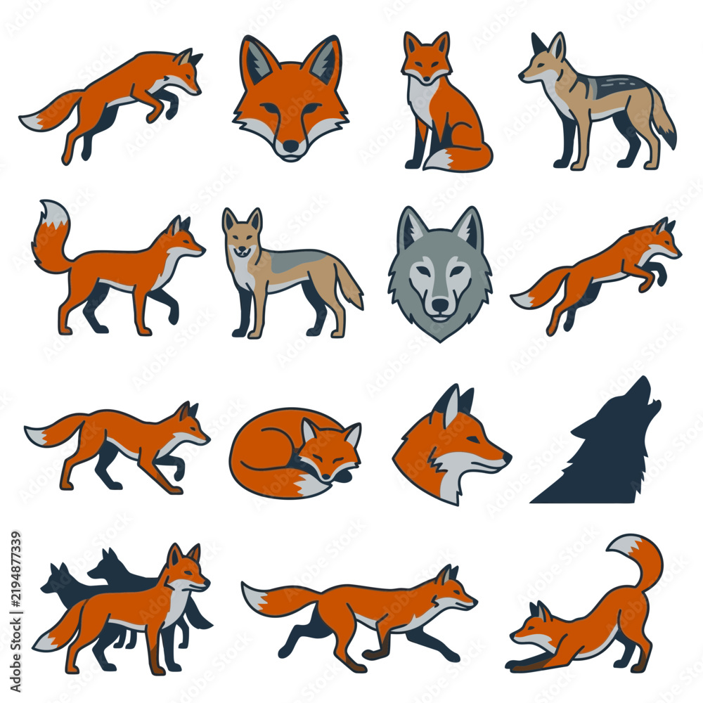 Obraz premium Red fox and wolf character variations set featuring multiple poses like jumping, sitting, running, sleeping, and head silhouettes. Minimalist vector flat illustrations of wild forest animals.