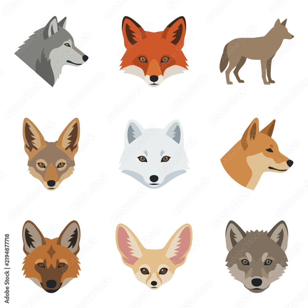 Fototapeta premium Collection of Wild Canine Vector Illustrations Featuring Wolf, Red Fox, Coyote, Jackal, Arctic Fox, Dingo, Maned Wolf, Fennec Fox and Gray Wolf Heads and Profiles for Nature and Wildlife Design