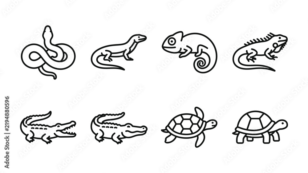 Fototapeta premium Reptile Icon Set: A collection of stylized outline illustrations depicts various reptiles including a snake, otter, chameleon, lizard, alligator, and turtle, presented in a clear.