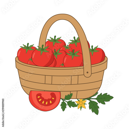 Hand drawn basket filled with ripe tomatoes, green leaves, yellow flowers and a sliced tomato in rustic farm style.