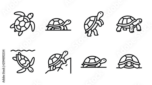 Set of Turtle Icons: A collection of stylized black and white line art icons depicting turtles in various poses, including swimming, walking, and resting.