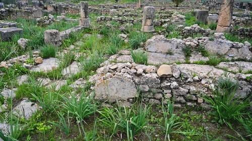 Ancient roman ruins of Volubilis, Morocco