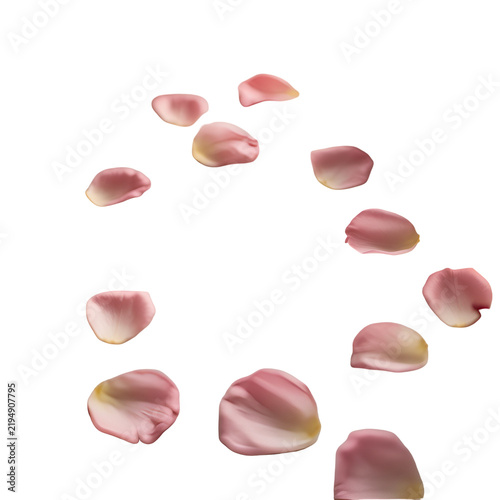 Soft pink rose petals falling down in a gentle swirl pattern for a romantic wedding celebration