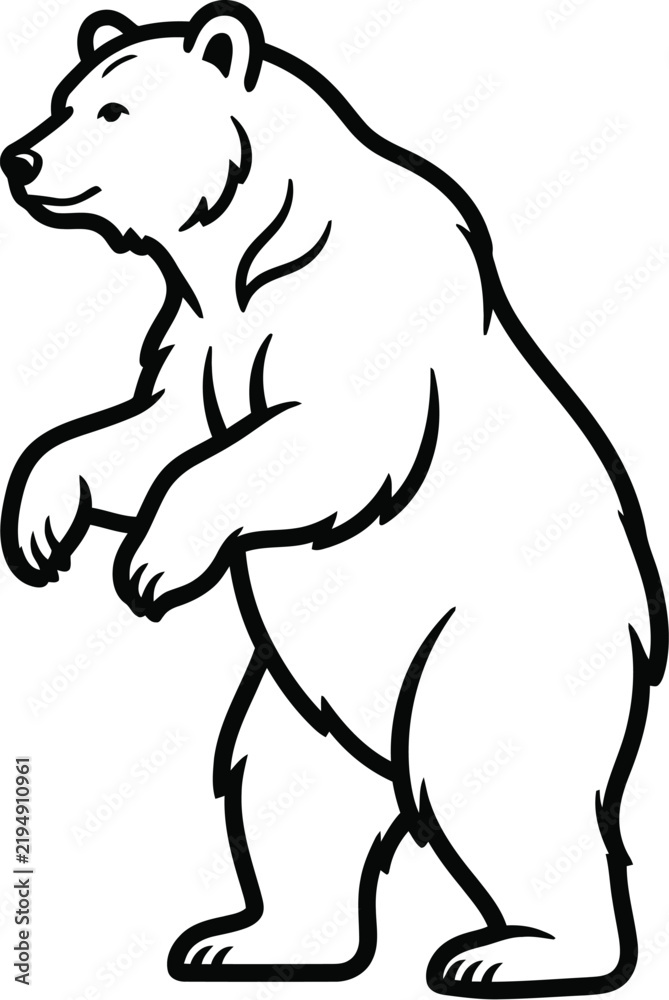 Fototapeta premium polar bear vector illustration