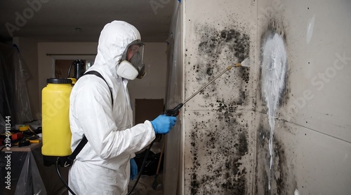 Professional mold remediation specialist in hazmat suit, worker spraying toxic black mold on wall, home restoration and fungal removal service