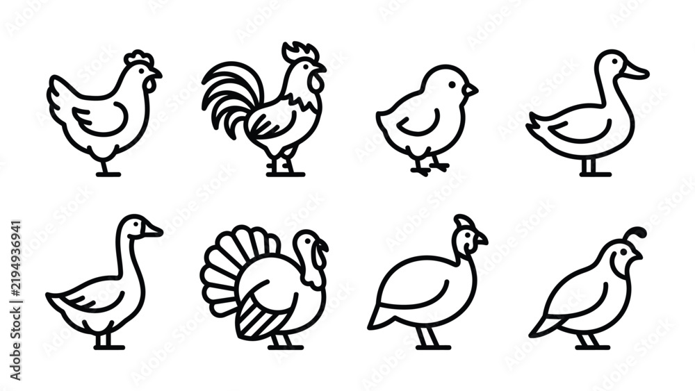 Obraz premium Farm Birds Icons: A collection of simple line art icons representing various farm birds, including a hen, rooster, chick, duck, goose, turkey, guinea fowl, and quail.