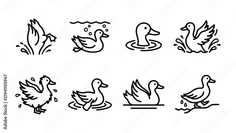 Obraz premium Duck Icon Set: A collection of simple line art icons depicting ducks in various poses, swimming, diving, and splashing in water, perfect for graphic design and web applications.