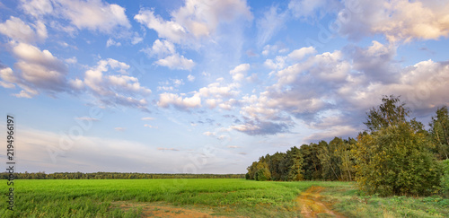 Vast green field stretches under soft, scattered clouds