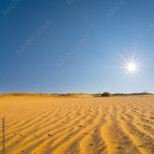 wide sandy desert at the sunny day