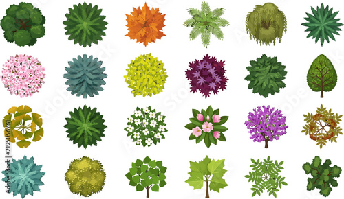 Set of Various Green and Flowering Trees Seen from Top Down View Vector Graphic