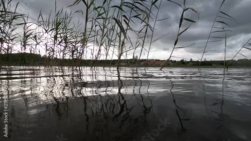 Reeds and Rippling Water Beneath Dark Storm Clouds