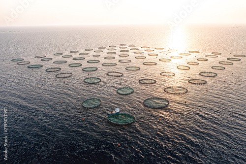 Aquaculture fish farm cages floating in Cyprus