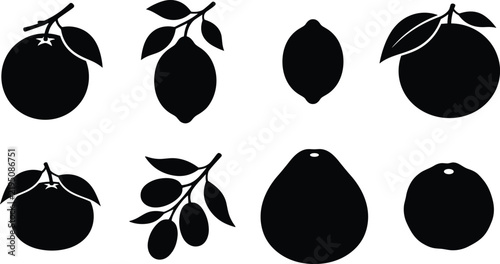 Citrus Fruit Silhouette Icon Set