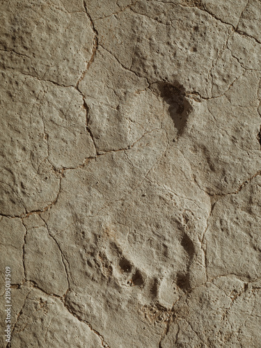Canvastavla Imprint in dry mud Sossusvlei