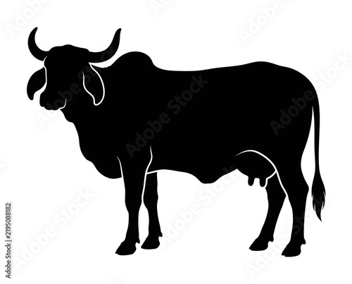 clean minimal solid black vector silhouette illustration of an indian gir cow with horns standing full body facing left isolated on white banner