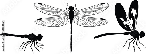 Bild auf Leinwand Dragonfly silhouettes and detailed insect wings collection, black ink drawing of