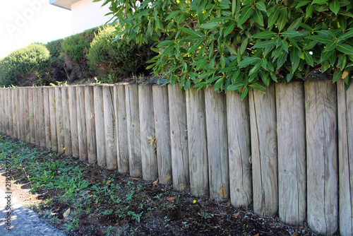 Bild auf Leinwand Rondins de bois en pin verticaux utilisée comme bordure de jardin ou petite rete