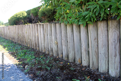 Foto Rondins de bois en pin verticaux utilisée comme bordure de jardin ou petite rete