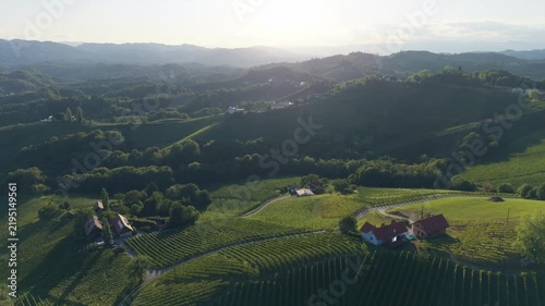 South Styrian Wine Road Vineyard Landscape Timelapse