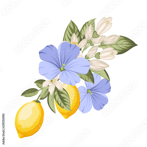 Botanical arrangement with lemons, flax flowers and citrus blossoms. Vector floral illustration.