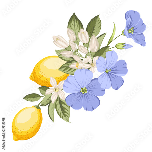 Botanical arrangement with lemons, flax flowers and citrus blossoms. Vector floral illustration.