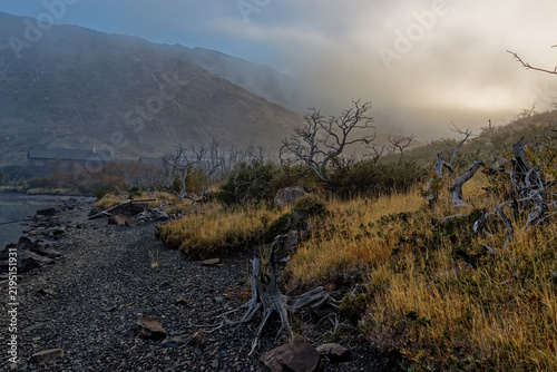 Foggy sunrise illuminating a rocky shoreline with weathered dead trees and distant shelter in Torres del Paine National Park, Chile.