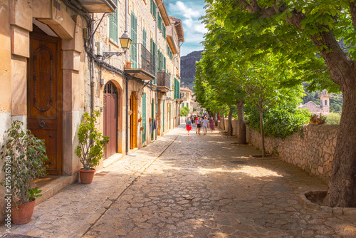 Cobblestone street lined with leafy trees and traditional stone houses with green shutters in Valldemossa old town Mallorca Spain