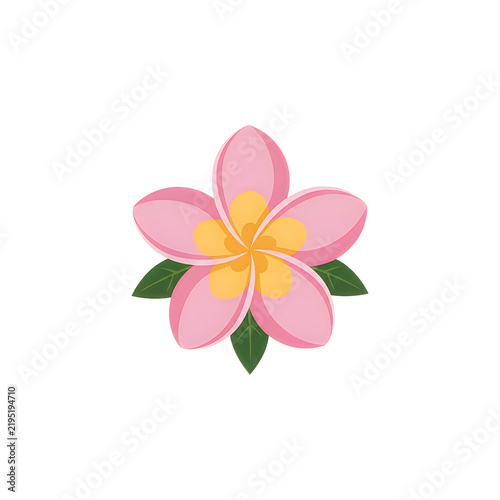 A beautiful pink plumeria flower with yellow center and green leaves, isolated on white background